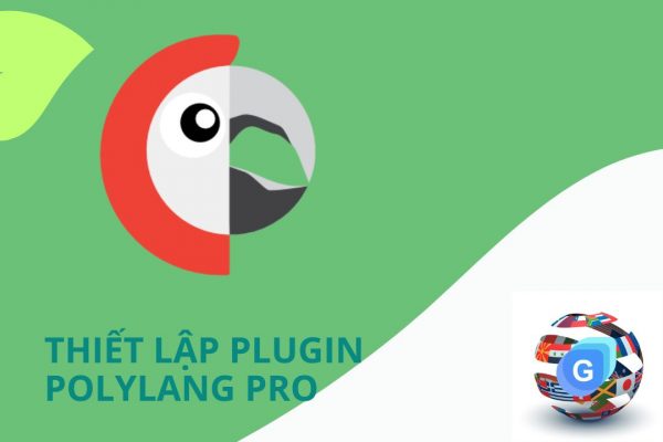 Thiết lập Polylang Pro cho website đa ngôn ngữ